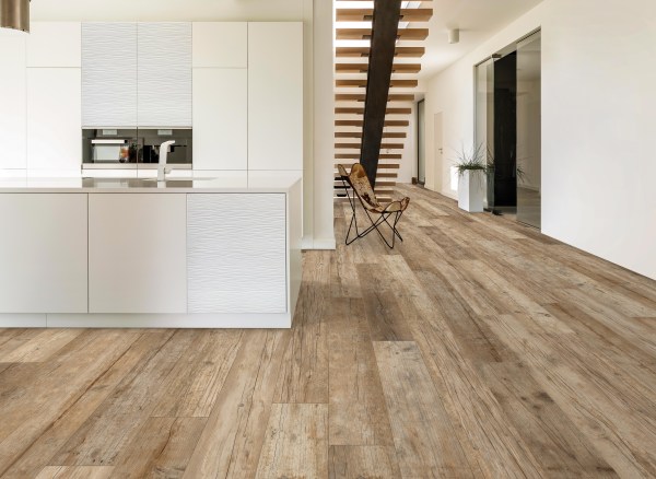 crz64/kauri/crz64-kauri-miele2