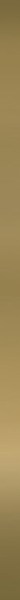 paradyz/fancy/paradyzmetaloro30x60