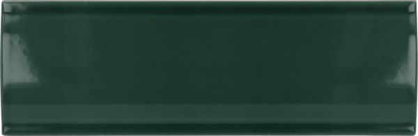 product2/equipe/vibe/equipevibeoutnewportgreen65x20