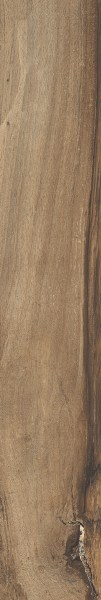 rondine/sherwood/rondinesherwoodwalnut75x545