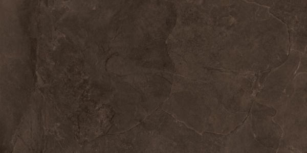 tubadzin/grandcave/tubadzingrandcavebrownstr598x1198
